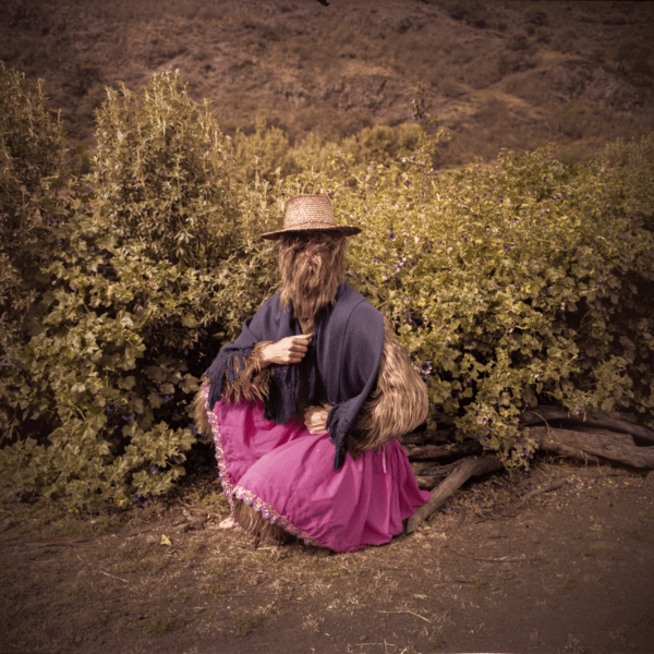 "Cholita y flor" - Image 2